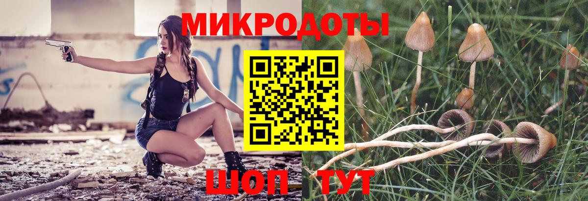Галлюциногенные грибы MAGIC MUSHROOMS Гудермес