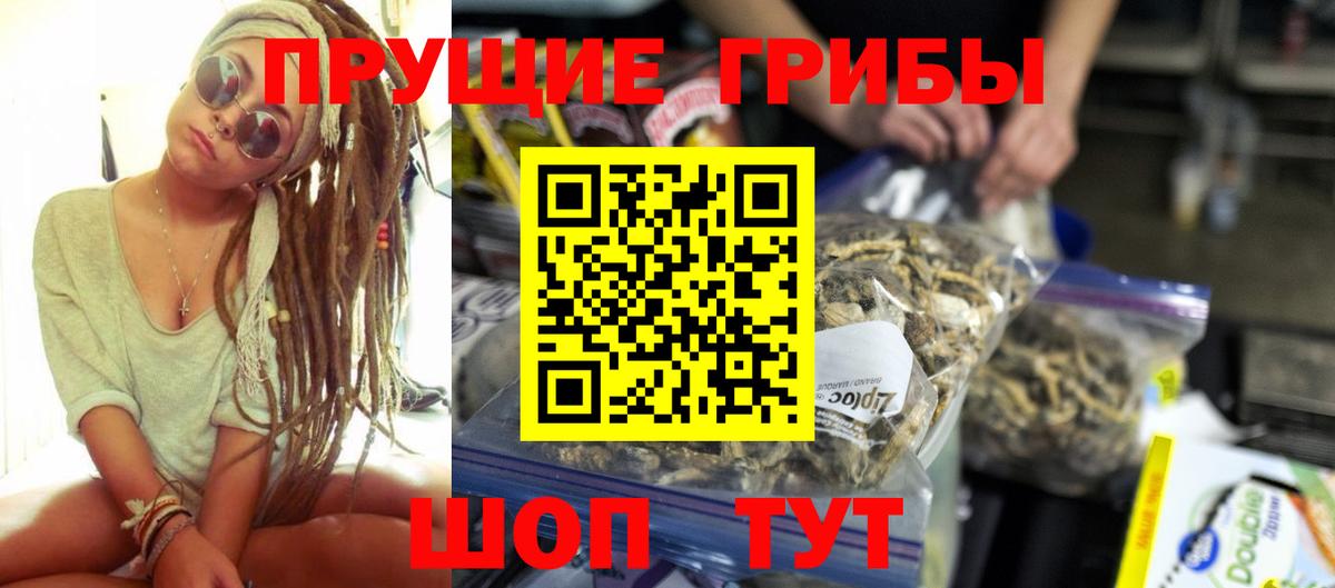 Псилоцибиновые грибы прущие грибы  Вход с VPN  где купить   Гудермес 